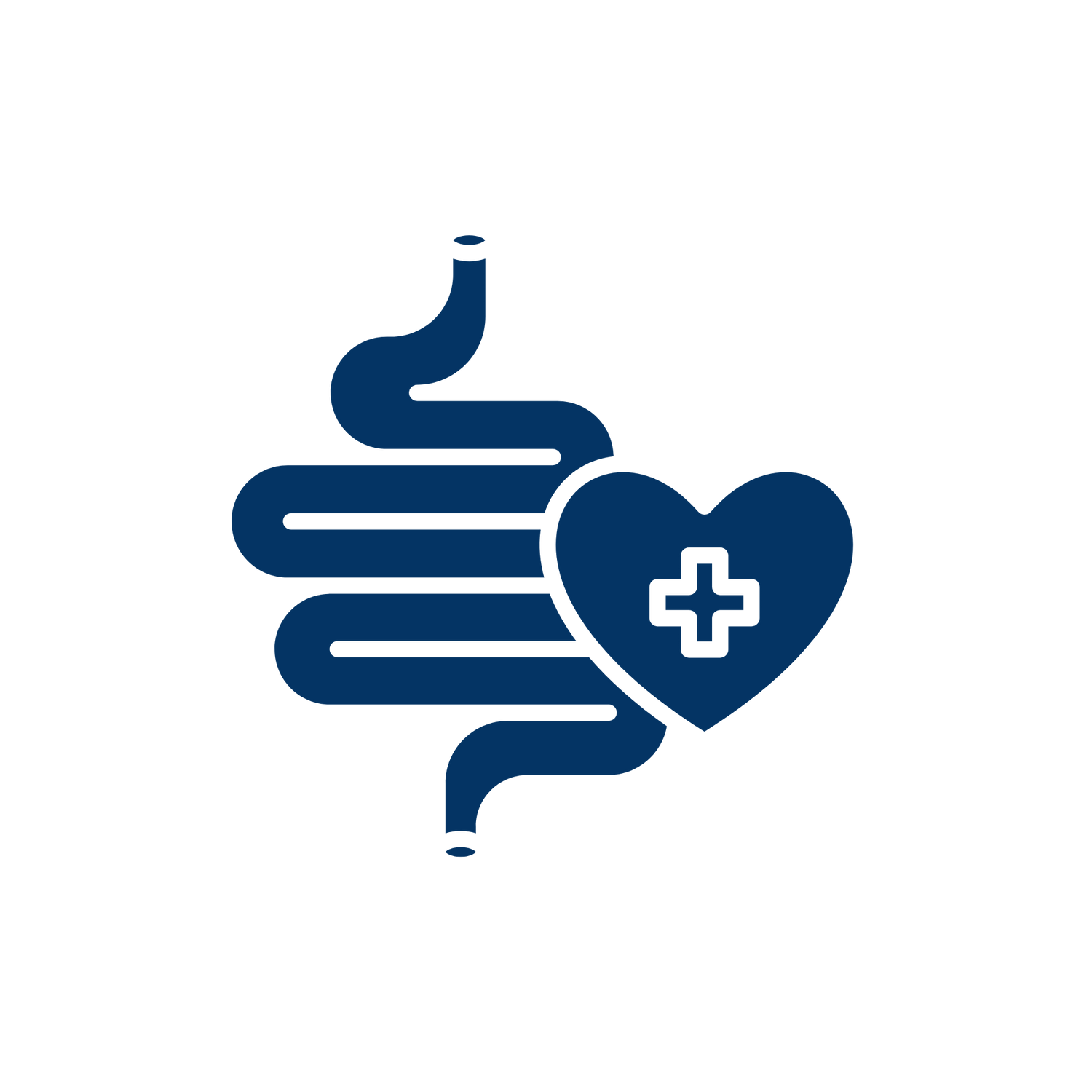 Gut Health Support